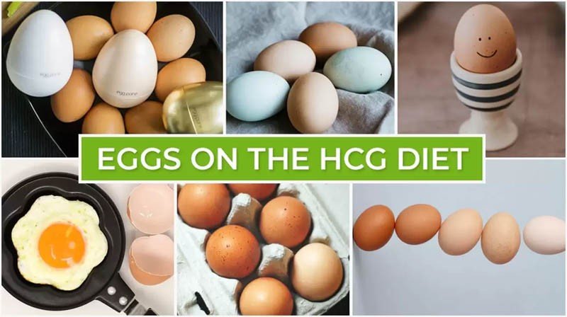 Eggs on the HCG Diet