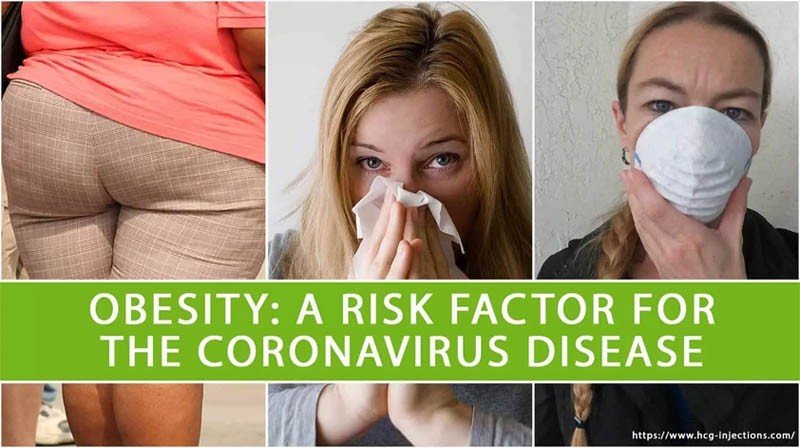 Obesity: A Risk Factor for the Coronavirus Disease?