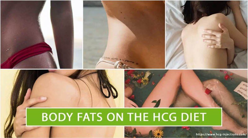 Body Fats on the HCG Diet