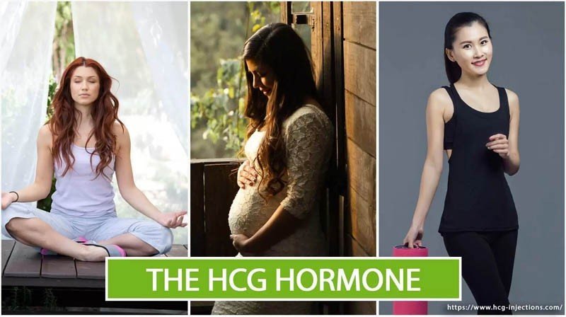 HCG Hormone