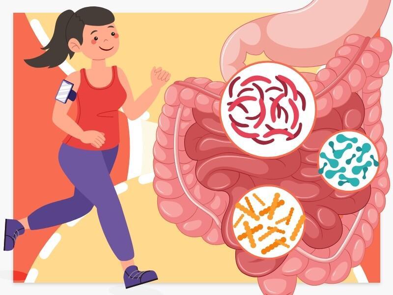 Benefits of Probiotics In Our Daily Life
