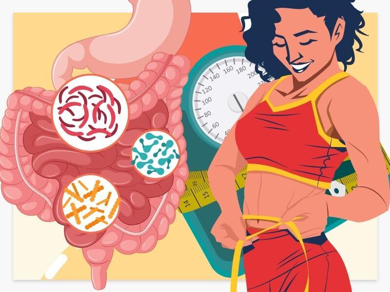 How are Probiotics During Weight Loss?